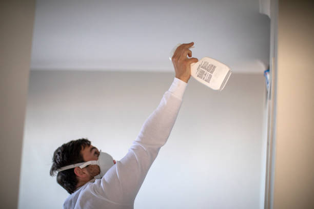 Mold Removal and Inspection in Greendale, IN